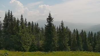 Буковель 23 червня 2021 року, 2021-06-23 13:00