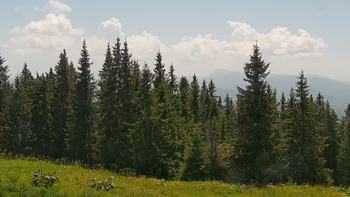 Буковель 24 червня 2021 року, 2021-06-24 13:00