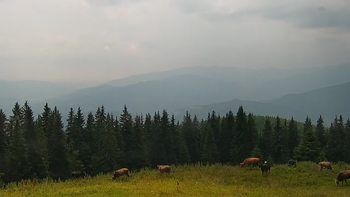 Буковель 18 липня 2021 року, 2021-07-18 13:00