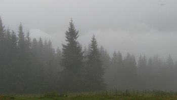 Буковель 29 серпня 2021 року, 2021-08-29 10:00