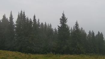 Буковель 28 вересня 2021 року, 2021-09-28 10:00