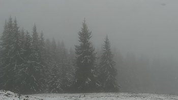 Буковель 12 жовтня 2021 року, 2021-10-12 13:00
