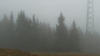 Буковель 8 листопада 2021 року, 2021-11-08 13:00