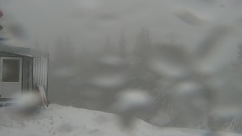 Буковель 2 грудня 2021 року, 2021-12-02 13:00