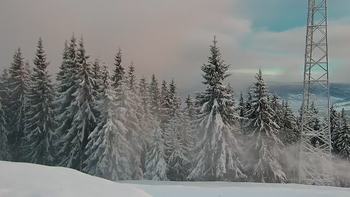 Буковель 3 грудня 2021 року, 2021-12-03 16:00
