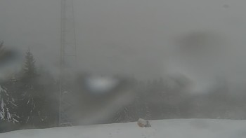 Буковель 5 грудня 2021 року, 2021-12-05 13:00