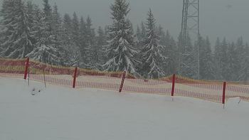 Буковель 23 січня 2022 року, 2022-01-23 16:00