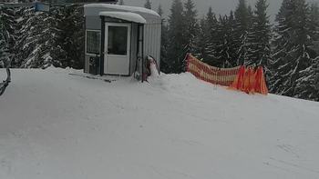 Буковель 25 січня 2022 року, 2022-01-25 16:00