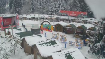 Буковель 20 січня 2019 року, 2019-01-20 16:00
