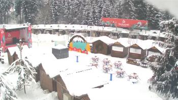 Буковель 23 січня 2019 року, 2019-01-23 10:00