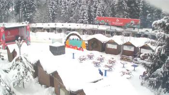 Буковель 25 січня 2019 року, 2019-01-25 10:00