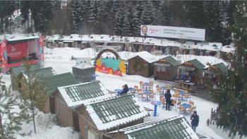 Буковель 12 лютого 2019 року, 2019-02-12 16:00