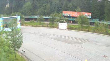 Буковель 15 серпня 2019 року, 2019-08-15 10:00
