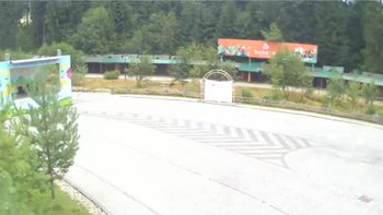 Буковель 21 серпня 2019 року, 2019-08-21 16:00