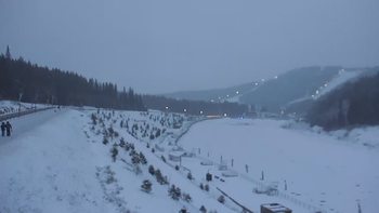 Буковель 19 січня 2021 року, 2021-01-19 16:00