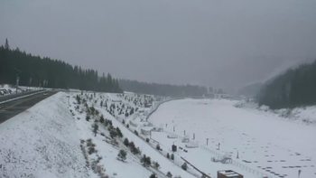 Буковель 29 січня 2021 року, 2021-01-29 16:00