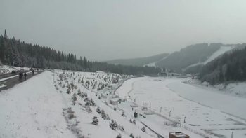 Буковель 31 січня 2021 року, 2021-01-31 13:00