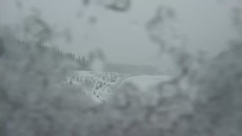 Буковель 6 лютого 2021 року, 2021-02-06 13:00