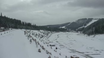 Буковель 24 грудня 2021 року, 2021-12-24 13:00
