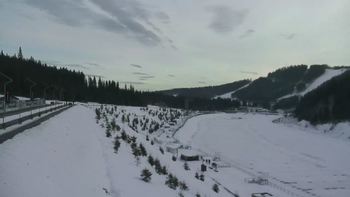 Буковель 16 січня 2022 року, 2022-01-16 16:00