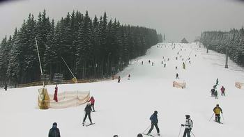Буковель 29 січня 2021 року, 2021-01-29 13:00