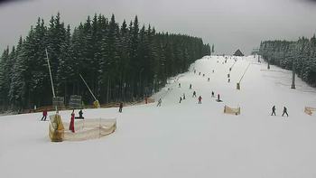 Буковель 29 січня 2021 року, 2021-01-29 16:00