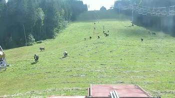 Буковель 6 вересня 2021 року, 2021-09-06 13:00