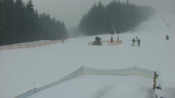Буковель 20 січня 2022 року, 2022-01-20 10:00