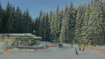 Буковель 22 січня 2022 року, 2022-01-22 10:00