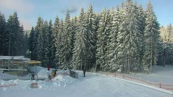Буковель 24 січня 2022 року, 2022-01-24 10:00