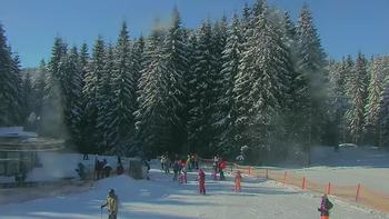 Буковель 29 січня 2022 року, 2022-01-29 13:00
