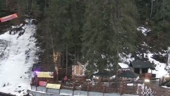 Буковель 24 січня 2021 року, 2021-01-24 16:00