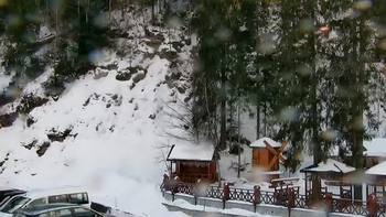 Буковель 24 березня 2021 року, 2021-03-24 16:00