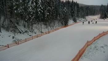 Буковель 14 січня 2022 року, 2022-01-14 16:00