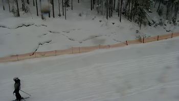 Буковель 23 січня 2022 року, 2022-01-23 10:00