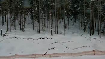 Буковель 29 січня 2022 року, 2022-01-29 16:00