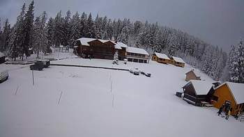 Ільз 29 січня 2020 року, 2020-01-29 10:00