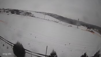 Березівка 24 січня 2019 року, 2019-01-24 10:00