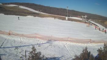 Березівка 21 січня 2022 року, 2022-01-21 10:00
