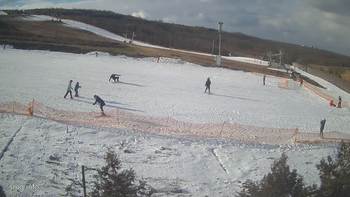 Березівка 22 січня 2022 року, 2022-01-22 13:00