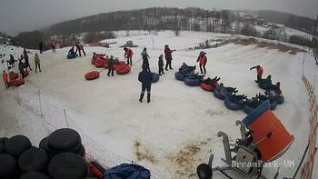 Vinny Land 31 січня 2019 року, 2019-01-31 10:00