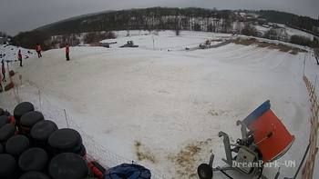 Vinny Land 31 січня 2019 року, 2019-01-31 13:00