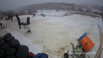Vinny Land 3 лютого 2019 року, 2019-02-03 16:00