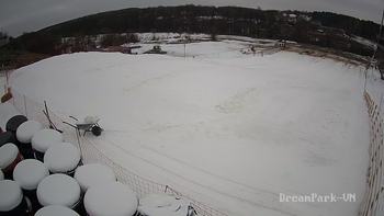 Vinny Land 8 лютого 2019 року, 2019-02-08 13:00