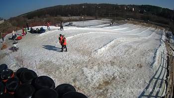 Vinny Land 17 лютого 2019 року, 2019-02-17 13:00