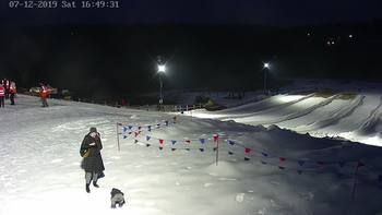 Vinny Land 7 грудня 2019 року, 2019-12-07 16:00