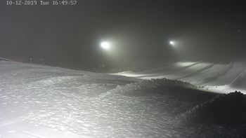 Vinny Land 10 грудня 2019 року, 2019-12-10 16:00