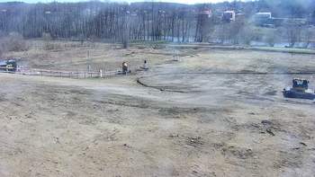 Vinny Land 25 березня 2020 року, 2020-03-25 10:00