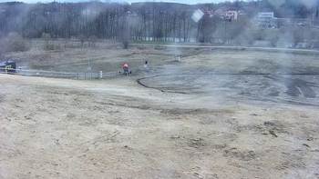 Vinny Land 31 березня 2020 року, 2020-03-31 10:00
