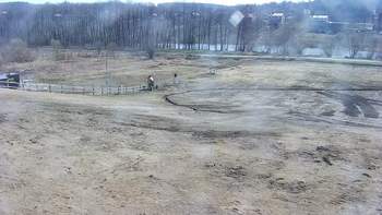 Vinny Land 1 квітня 2020 року, 2020-04-01 10:00